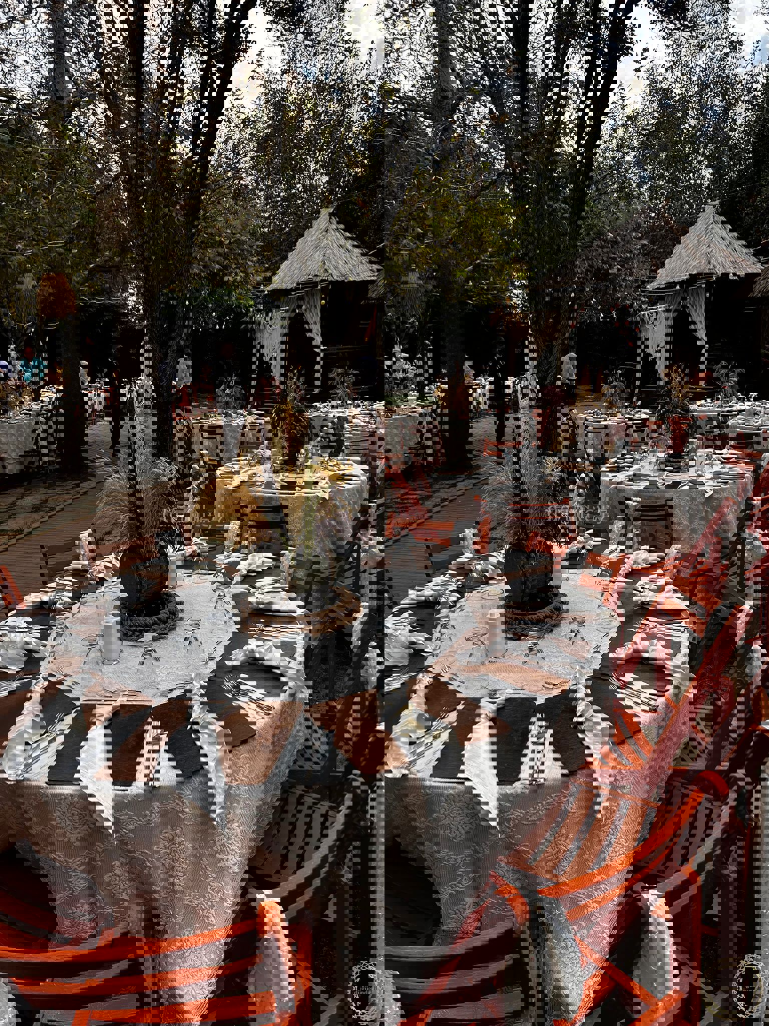 SAKLI ORMAN